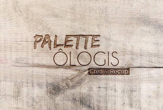 <span>PaletteOlogis - Logo </span><i>→</i>