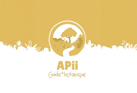 <span>APII Guide en botanique</span><i>→</i>